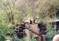 [20000212a_16.jpg]
